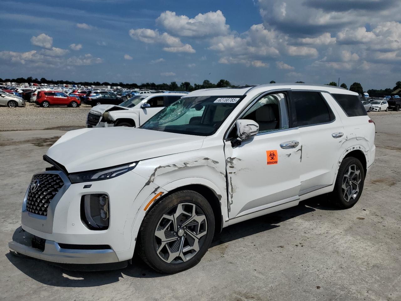 HYUNDAI PALISADE CALLIGRAPHY