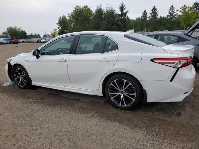 2020 TOYOTA CAMRY XLE 4T1B21HK2LU522667
