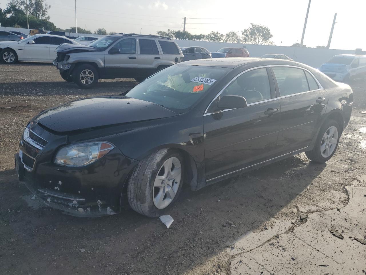 CHEVROLET MALIBU 1LT