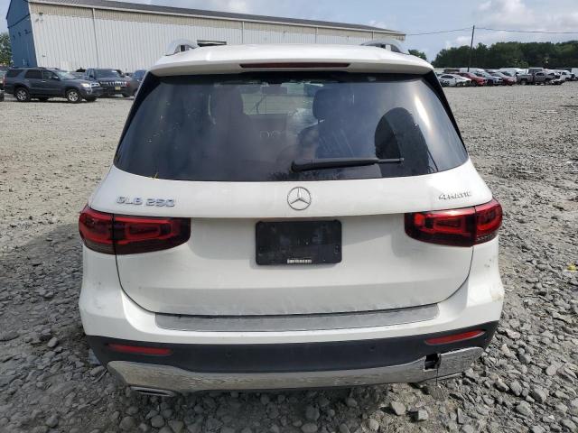 2021 MERCEDES-BENZ GLB 250 4MATIC W1N4M4HB6MW109237