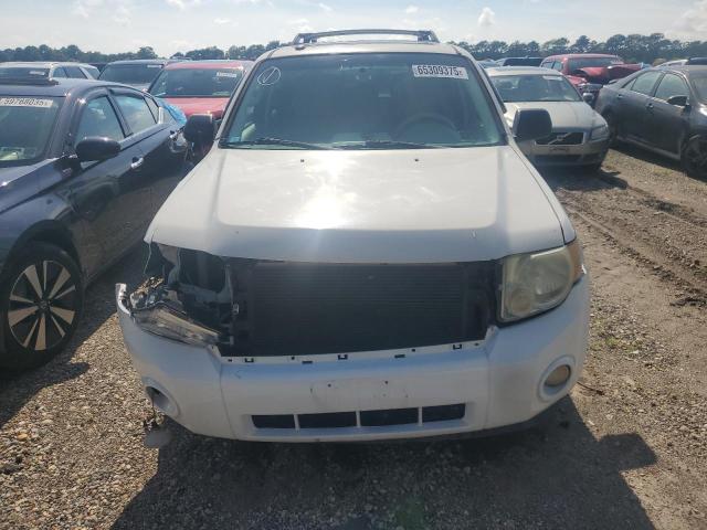 2010 FORD ESCAPE XLT - 1FMCU9D72AKC12865