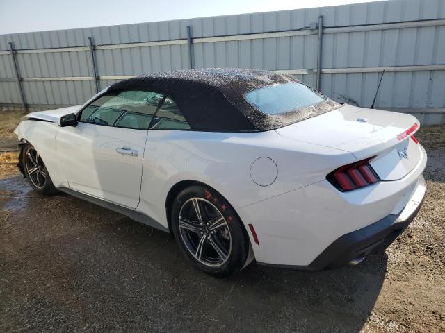 2025 FORD MUSTANG - 1FAGP8UH5S5117335