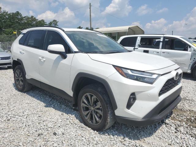 2025 TOYOTA RAV4 XLE P - 4T3B6RFV9SU177983
