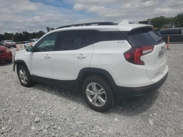 2024 GMC TERRAIN SL 3GKALTEGXRL359220