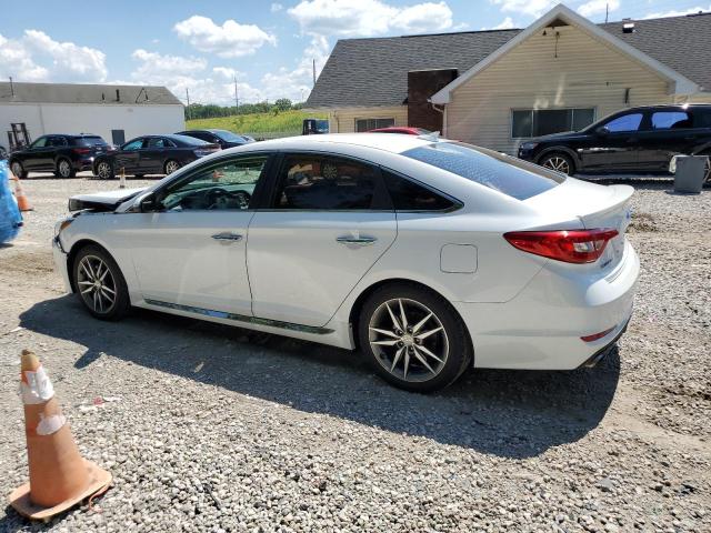 2015 HYUNDAI SONATA SPO - 5NPE34AB6FH088522