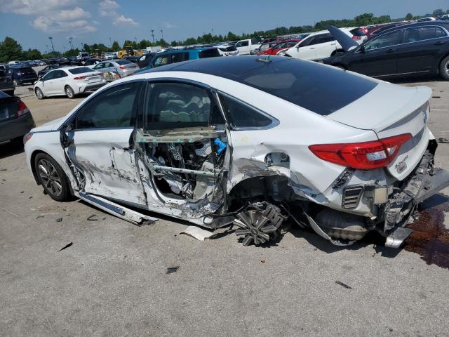 2016 HYUNDAI SONATA SPO - 5NPE34AF4GH334102