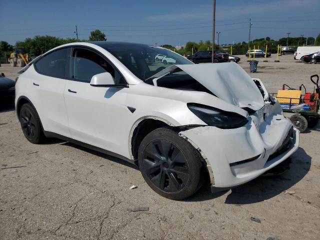 2024 TESLA MODEL Y 7SAYGDED7RF132711