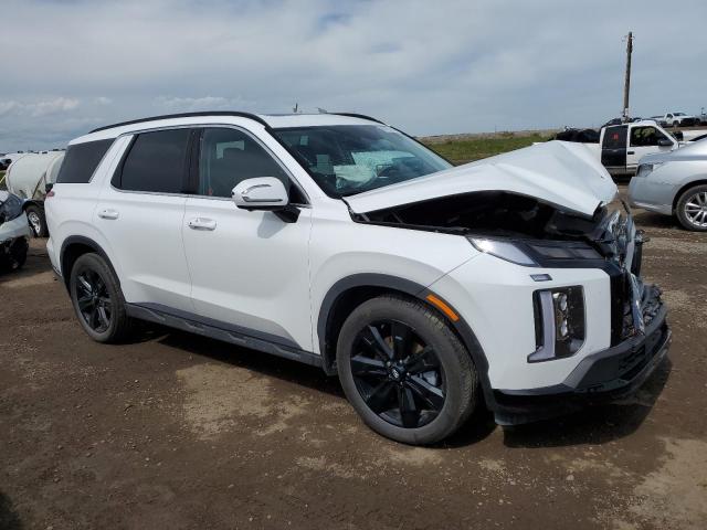 2025 HYUNDAI PALISADE X KM8R3DGE7SU874683