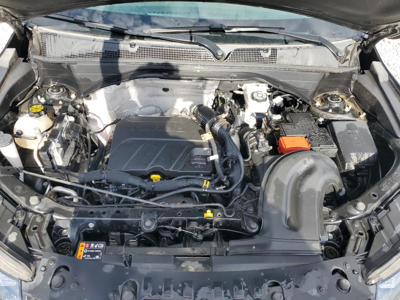 Lot #3246874459 2024 CHEVROLET TRAILBLAZE