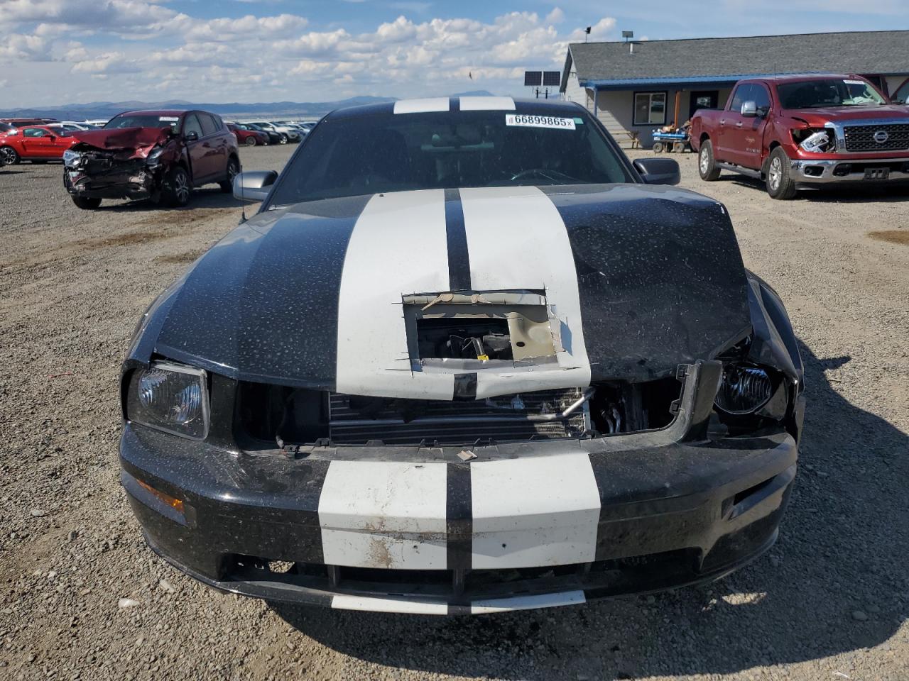 Lot #3211005570 2006 FORD MUSTANG GT