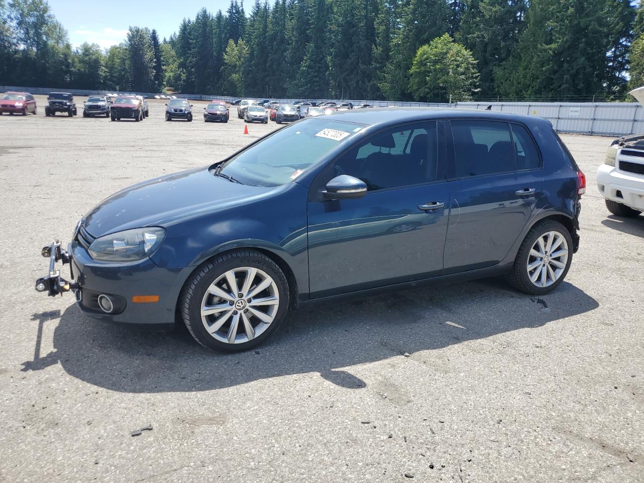 Volkswagen Golf 2013