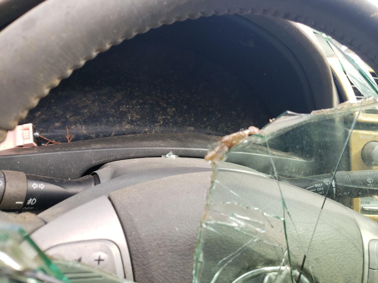 Global Auto Auctions