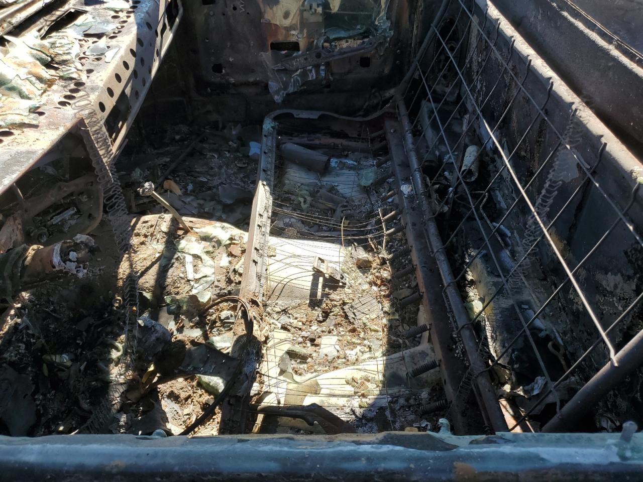 Global Auto Auctions