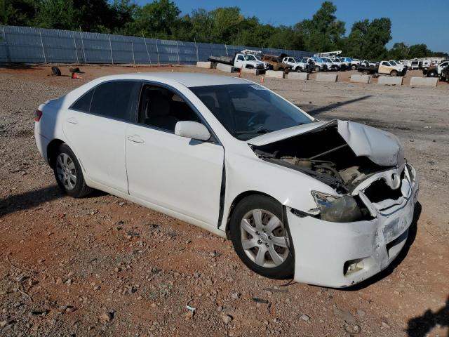 2010 TOYOTA CAMRY BASE - JTNBF3EK6A3001233