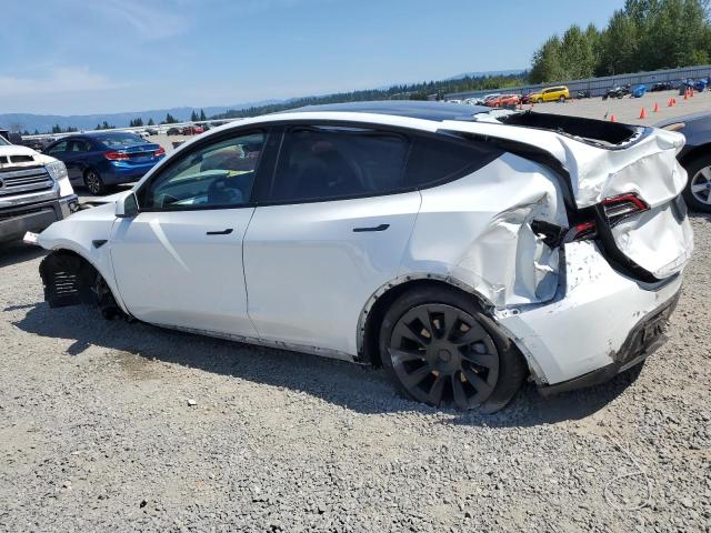 2021 TESLA MODEL Y 5YJYGDEEXMF240383
