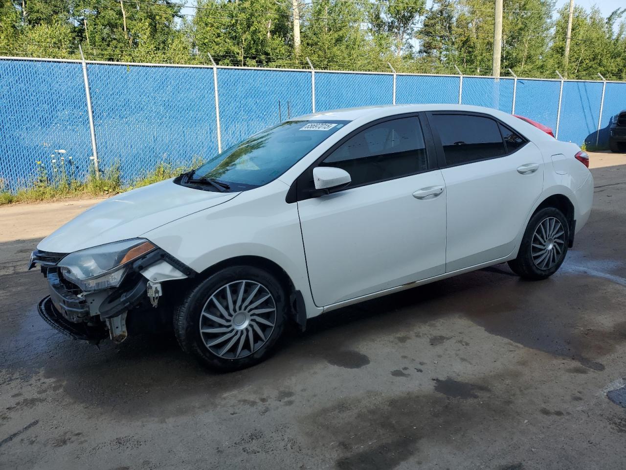 TOYOTA COROLLA L