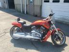 2013 HARLEY-DAVIDSON VRSCF VROD - 1HD1HPH18DC810157