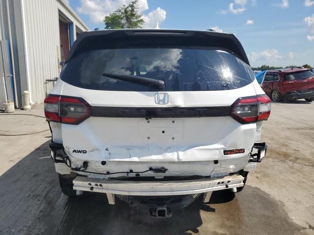 2024 HONDA PILOT TRAI 5FNYG1H66RB037579