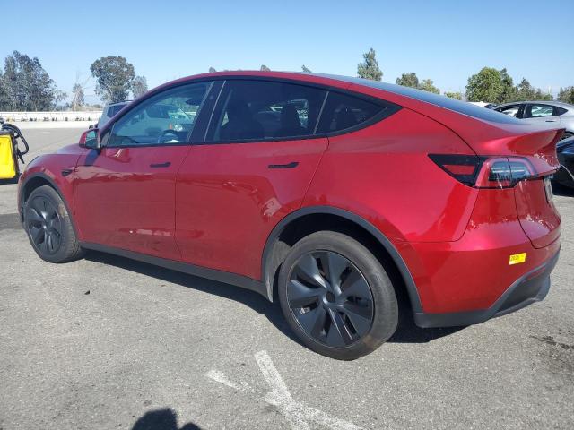 2024 TESLA MODEL Y 7SAYGDED8RF119546