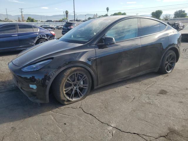 2025 TESLA MODEL Y - 7SAYGDED0SF320461