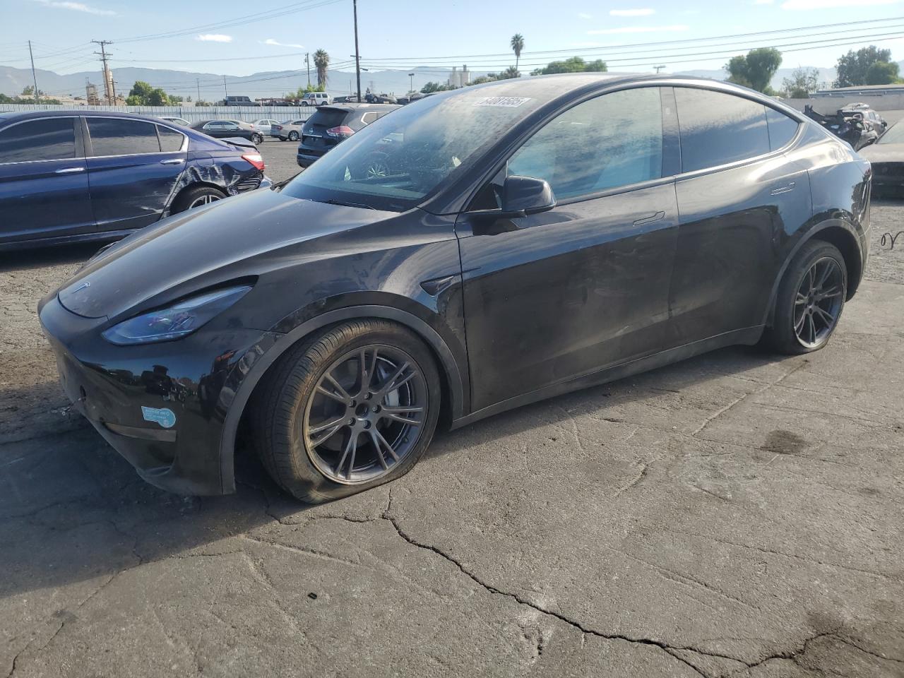 TESLA MODEL Y
