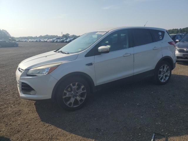 FORD ESCAPE SEL