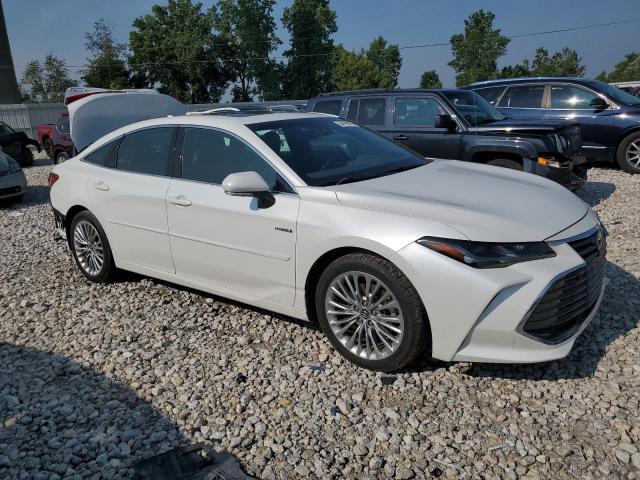 2020 TOYOTA AVALON LIM 4T1D21FB6LU013483
