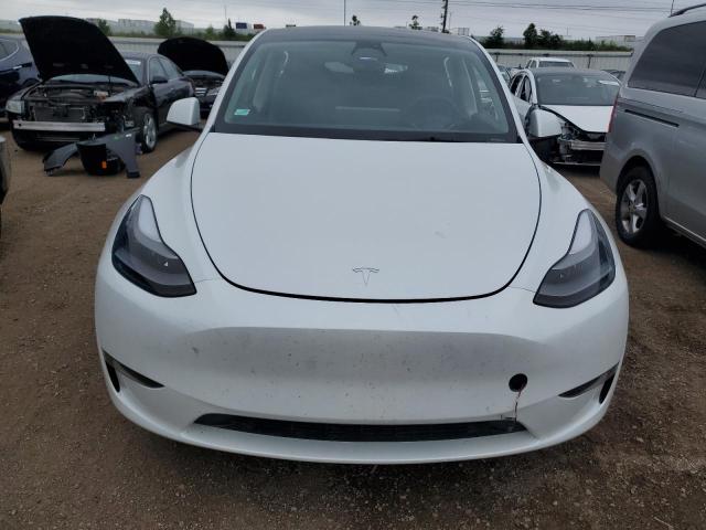 2023 TESLA MODEL Y 7SAYGDEE3PF676046