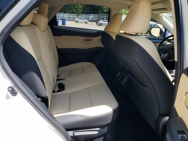 2021 LEXUS NX 300H BA JTJGJRDZ7M5015626