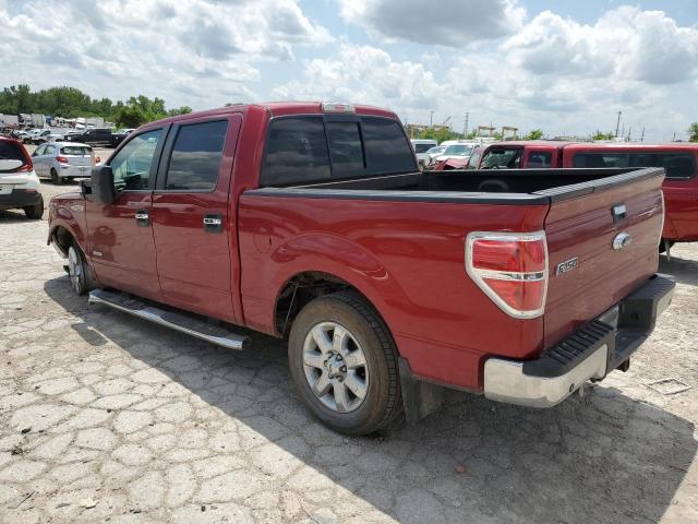 2013 FORD F150 SUPER - 1FTFW1CT1DKE03239
