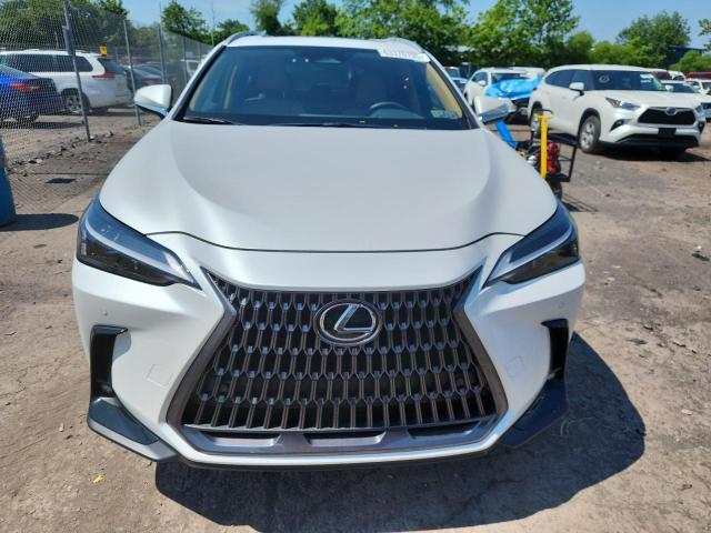 2025 LEXUS NX 350 BAS 2T2AGCEZ2SC073402
