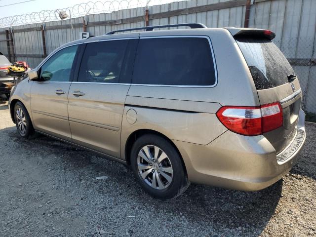 HONDA ODYSSEY TO 2005 gold sports v gas 5FNRL38845B011571 photo #3