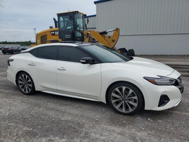 2023 NISSAN MAXIMA PLA 1N4AA6FVXPC501161