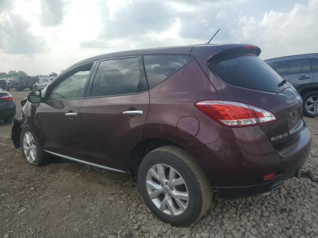 2013 NISSAN MURANO S - JN8AZ1MW1DW315220