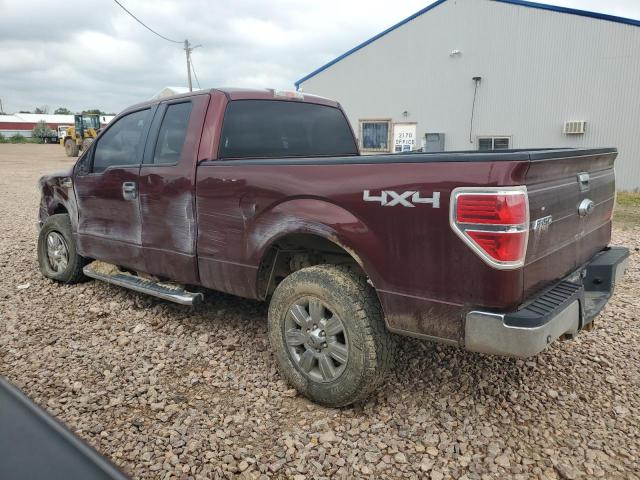 2010 FORD F150 SUPER - 1FTEX1E84AFD12780
