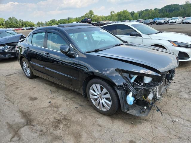 2011 HONDA ACCORD EXL - 1HGCP2F80BA091934