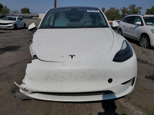 2024 TESLA MODEL Y 7SAYGDEE1RF126959