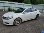 Top Destinations for Shipping Cars from the USA