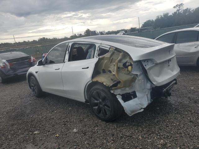 2024 TESLA MODEL Y 7SAYGAEE9RF121975