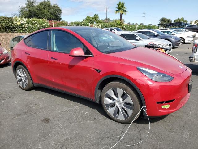 2023 TESLA MODEL Y 7SAYGDEE1PF813520