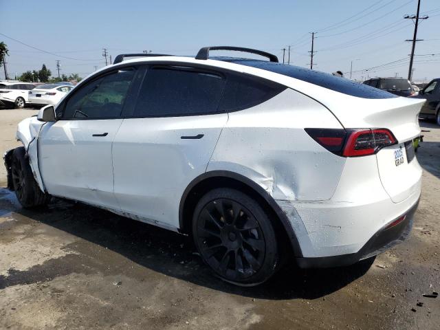2021 TESLA MODEL Y 5YJYGDEE8MF231584