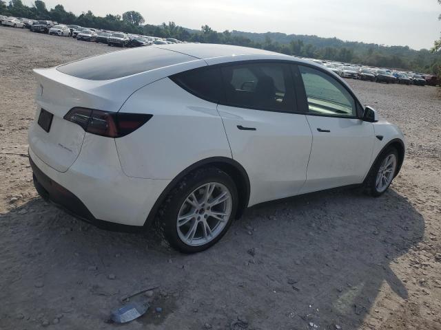 2023 TESLA MODEL Y - 7SAYGDEE0PF788447