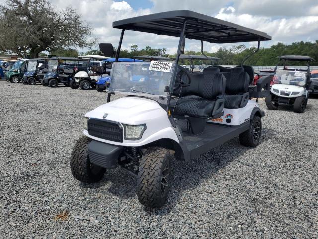 ASPT 6P 2023 white   FLA129898 photo #3