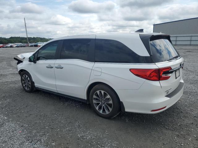 2023 HONDA ODYSSEY EX 5FNRL6H63PB079542