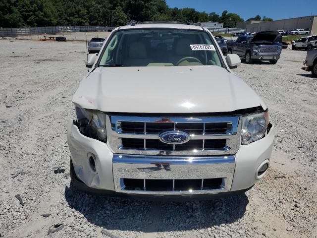 2010 FORD ESCAPE LIM - 1FMCU0EG4AKC46400