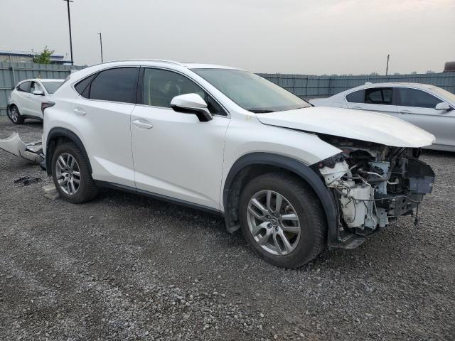 2020 LEXUS NX 300H JTJHARDZ4L5015988