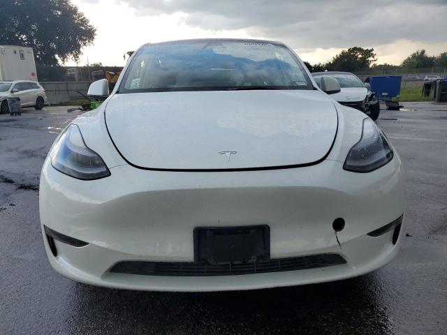 2023 TESLA MODEL Y 7SAYGDEF2PF831923