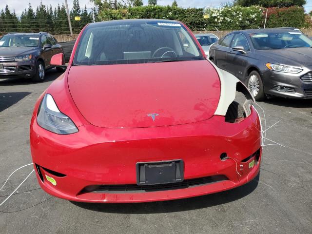 2023 TESLA MODEL Y 7SAYGDEE1PF813520
