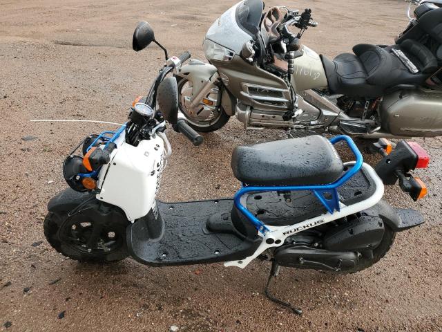 2023 HONDA NPS50 JH2AF5811PK102653