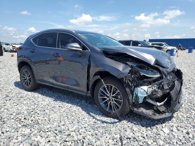 2023 LEXUS NX 250 2T2ADCAZ2PC003176